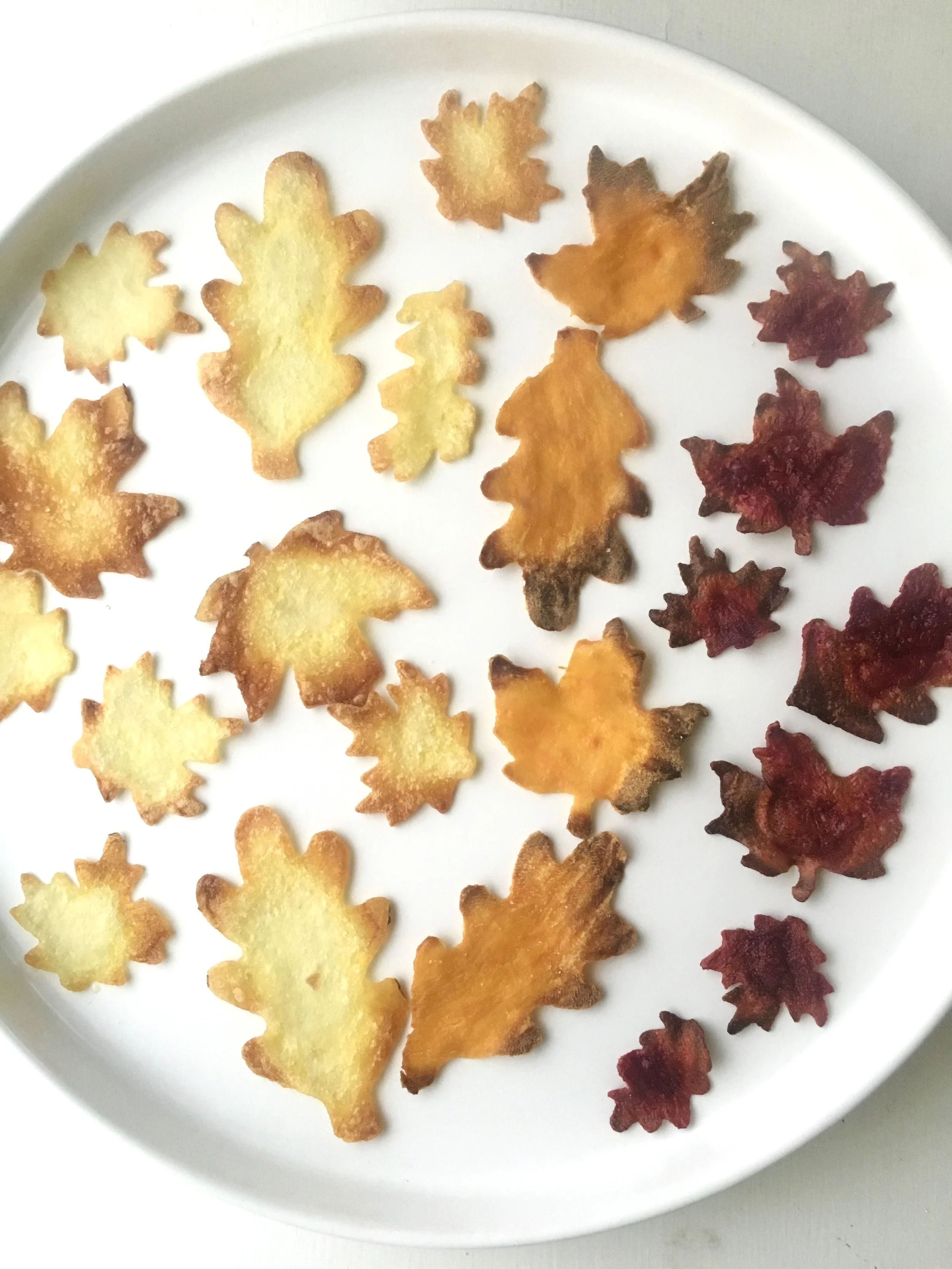 Yummy Veggie Leaf Chips to Make With Your Kids