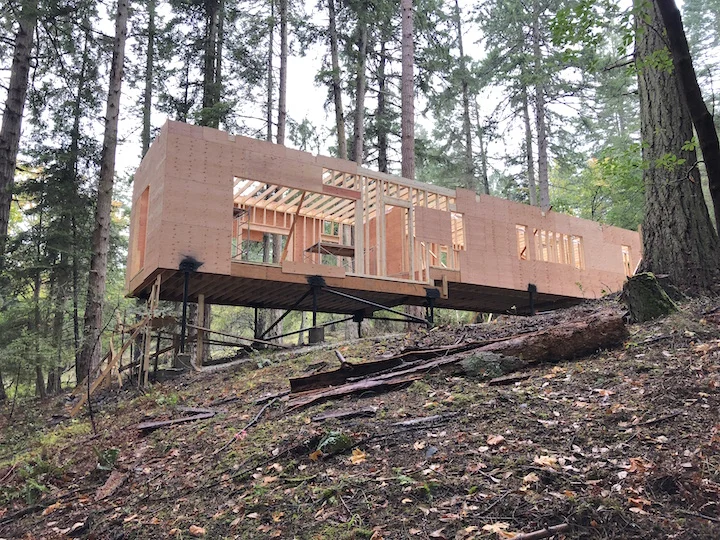 20181005_Framing Structure.JPG