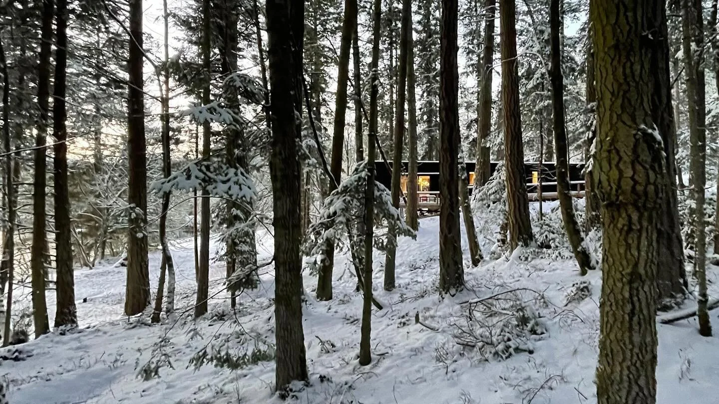 The framing of nature and seasons. Through most of the year, the Forest Cabin hides within the shadows of the tall evergreens. A few times of year, the setting changes and it gets to sing in contrast.