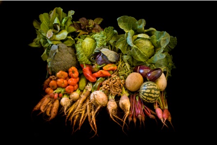 Cornucopia from Monticello Vegetable Garden, November, 2011. Photo by Robert Llewellyn, courtesy of Thomas Jefferson Foundation