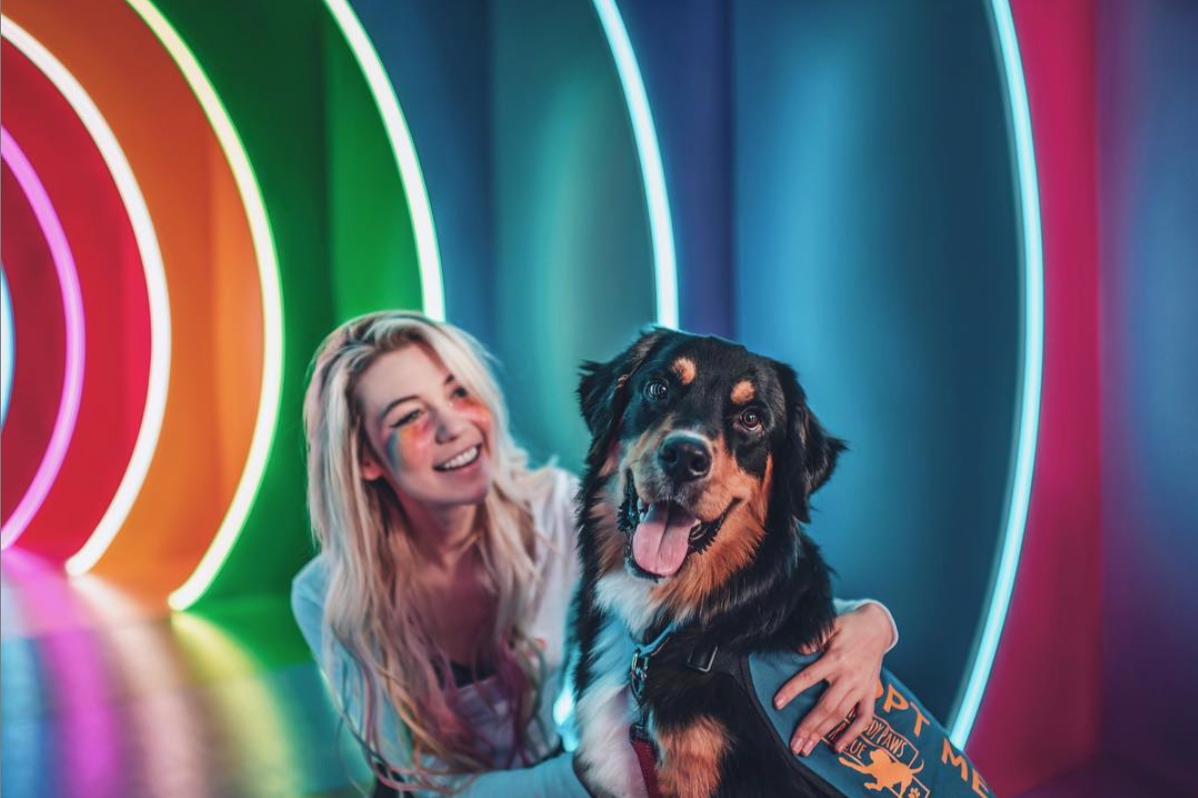 Screen+Shot+2019-01-02+at+9.03.42+PM.jpg