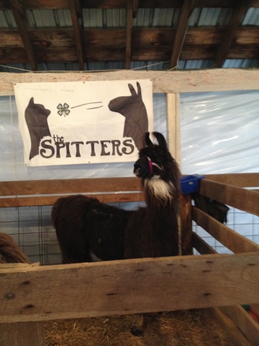 spitters