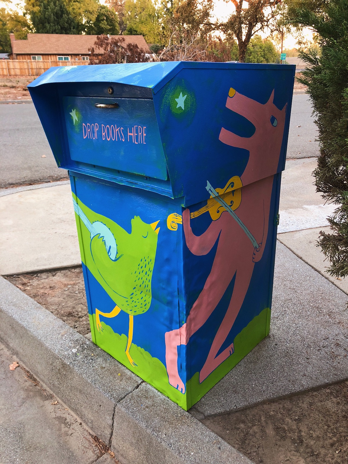 LibraryBoxes_2018-6.JPG