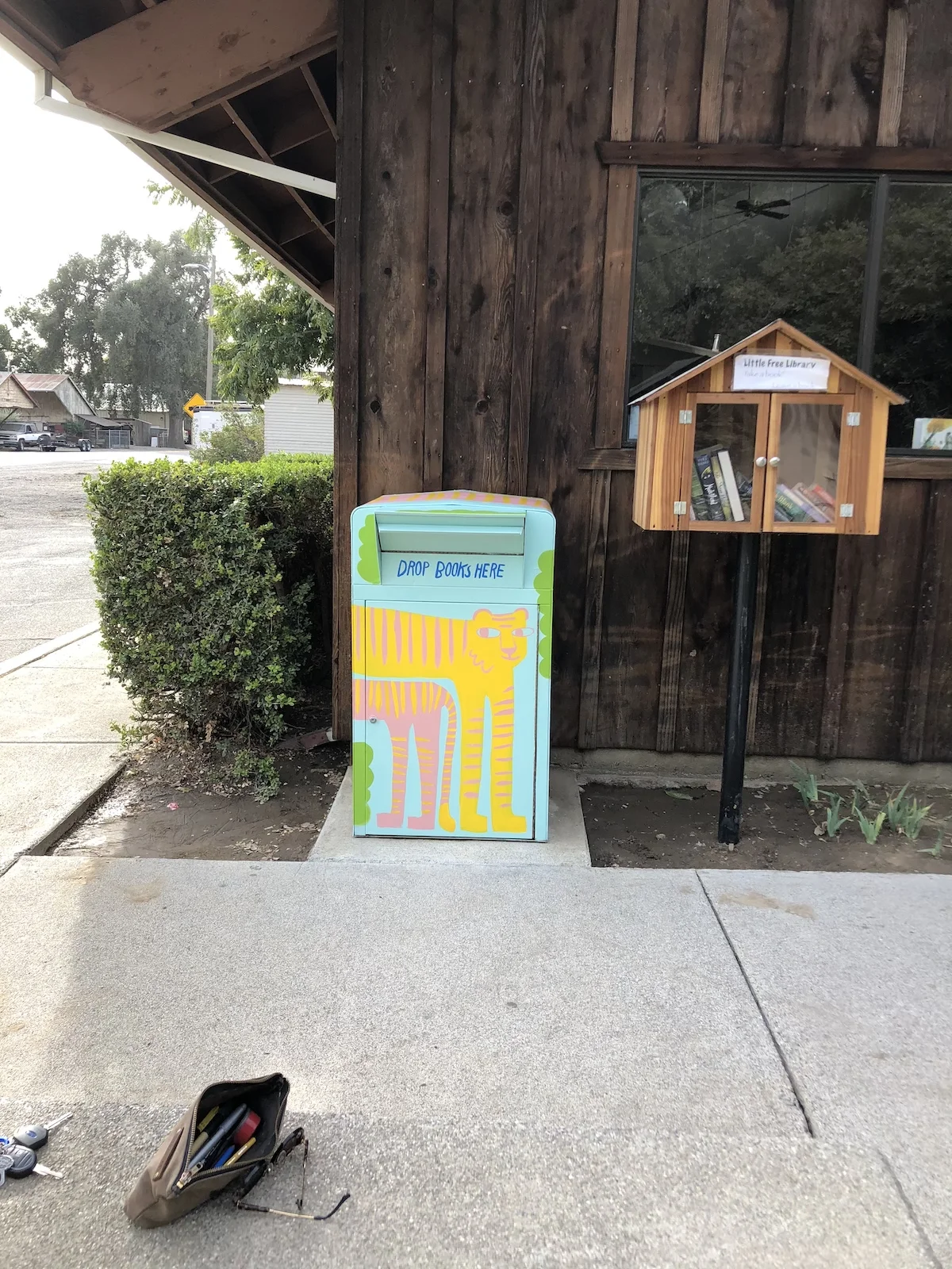 LibraryBoxes_2018-11.jpeg