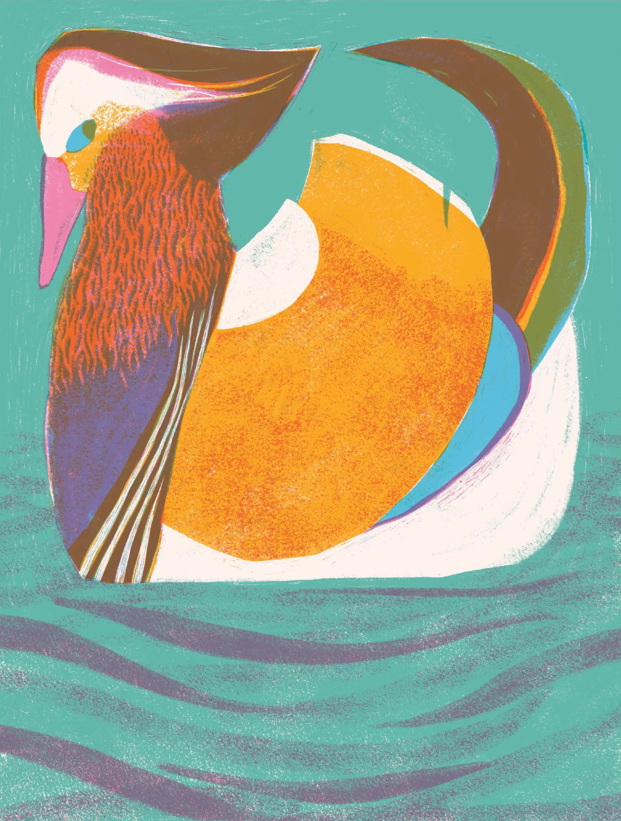 Serious Duck