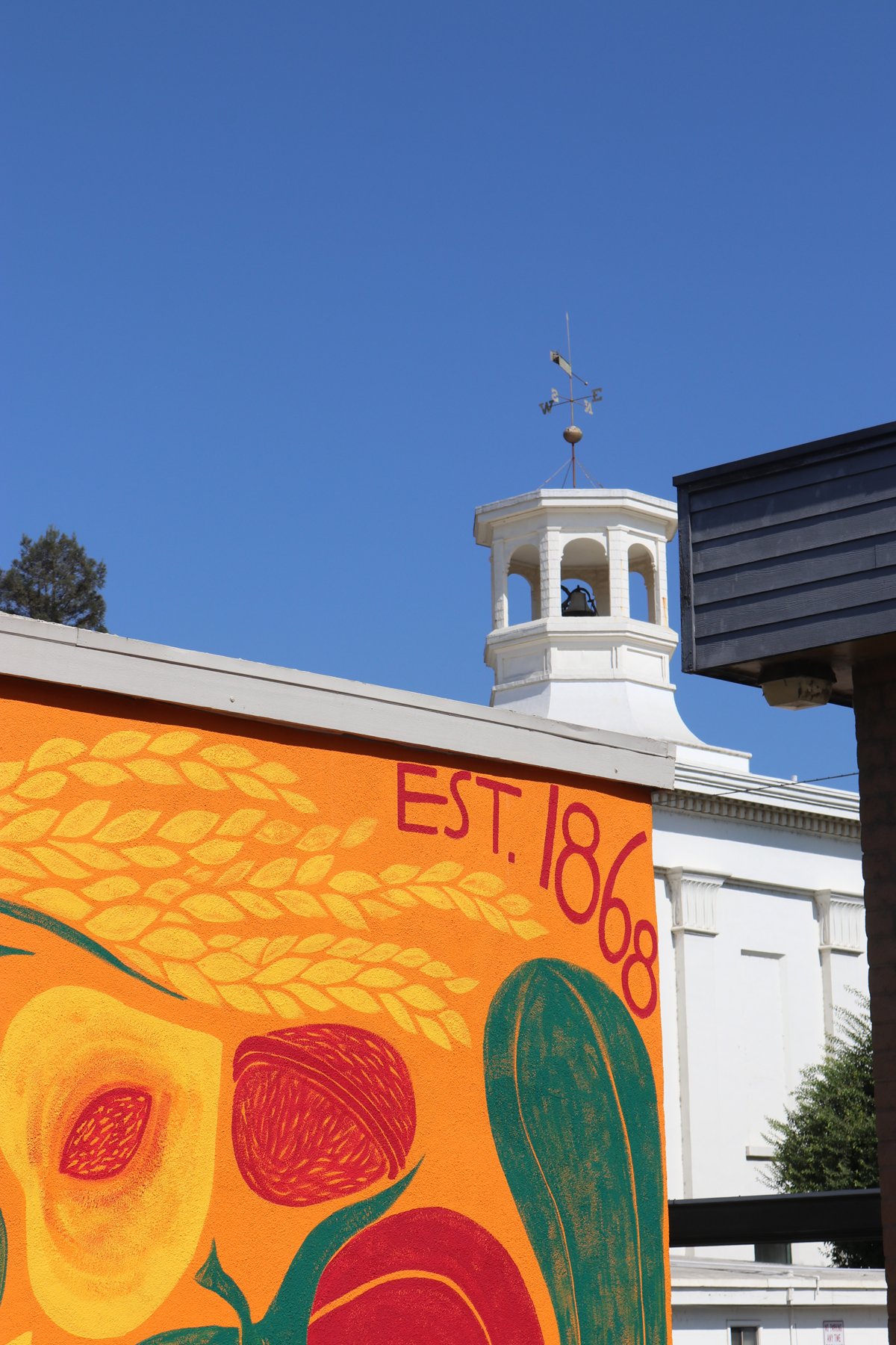 Colusa New Mural 81618-2.jpg