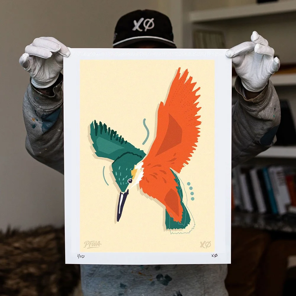 kyle-mosher-kingfisher-illustration-bird-modern-art-print-2026.jpg.jpg