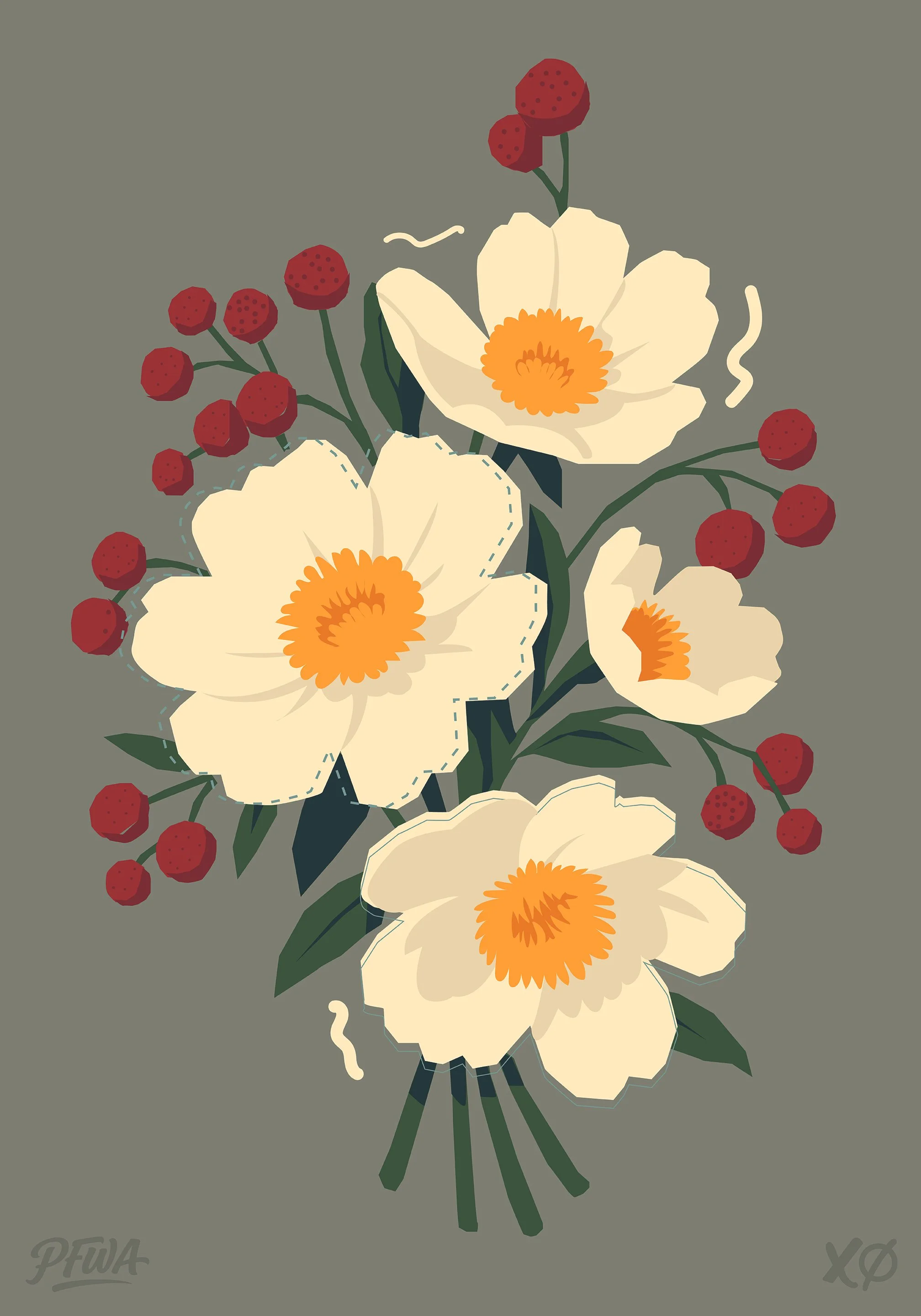 Dogwood Study #2 Illustration – Kyle Mosher Botanical Art