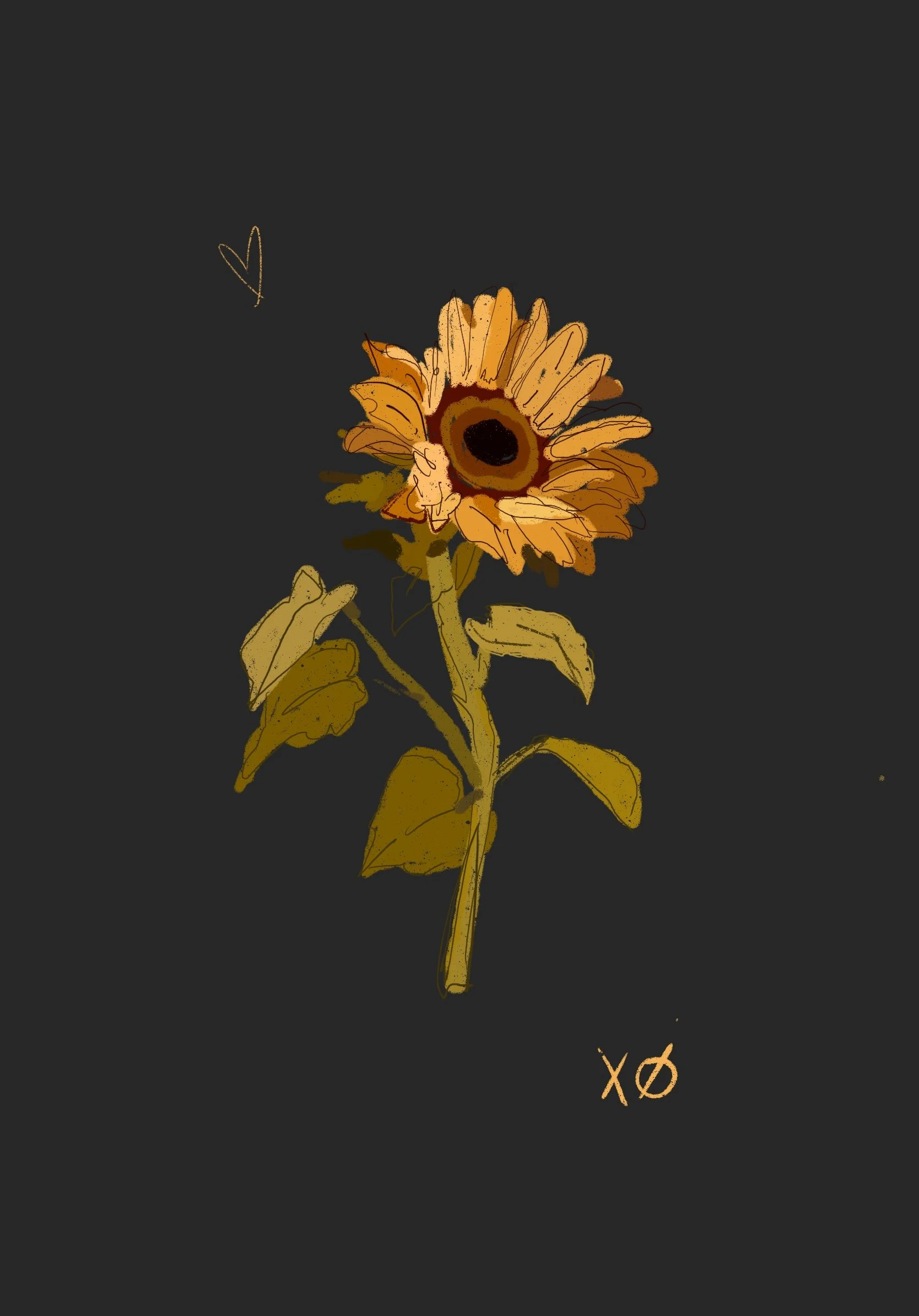 SUNFLOWER_STUDY_1.JPG