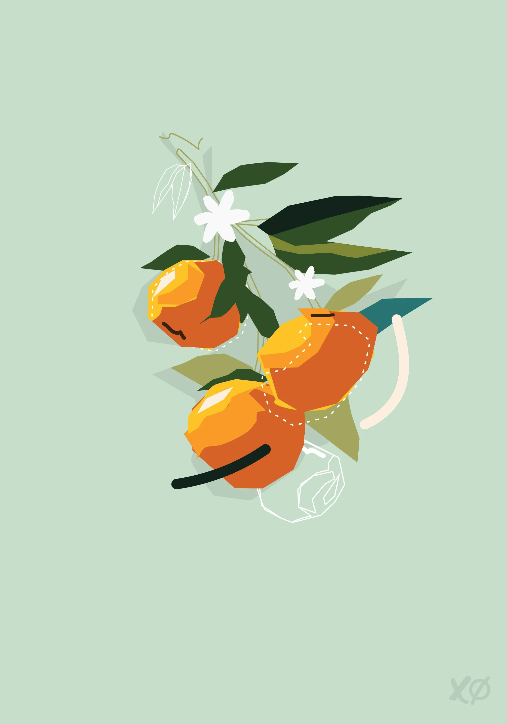 kyle-mosher-arance-menta-orange-still-life-2025.jpg.jpg