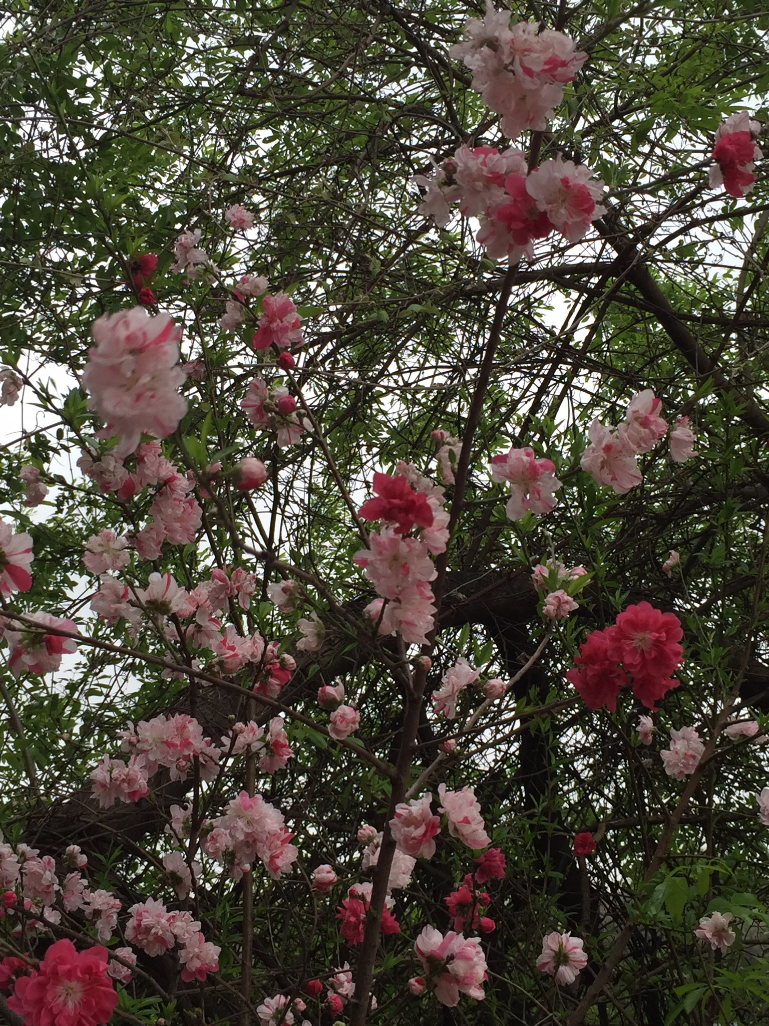 Looking up too.