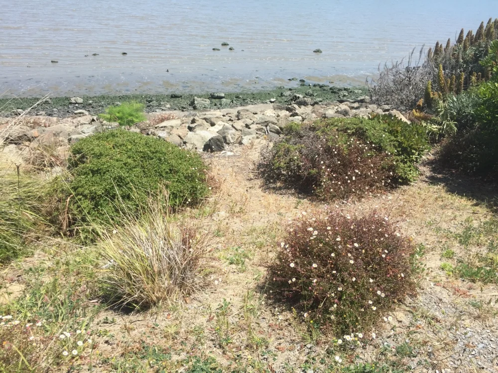 Oyster Bay