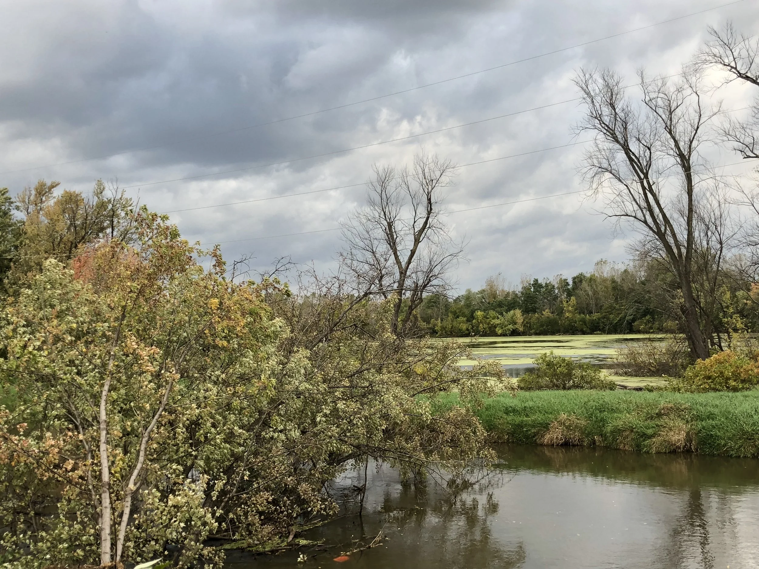 Teachers as Expert Learners