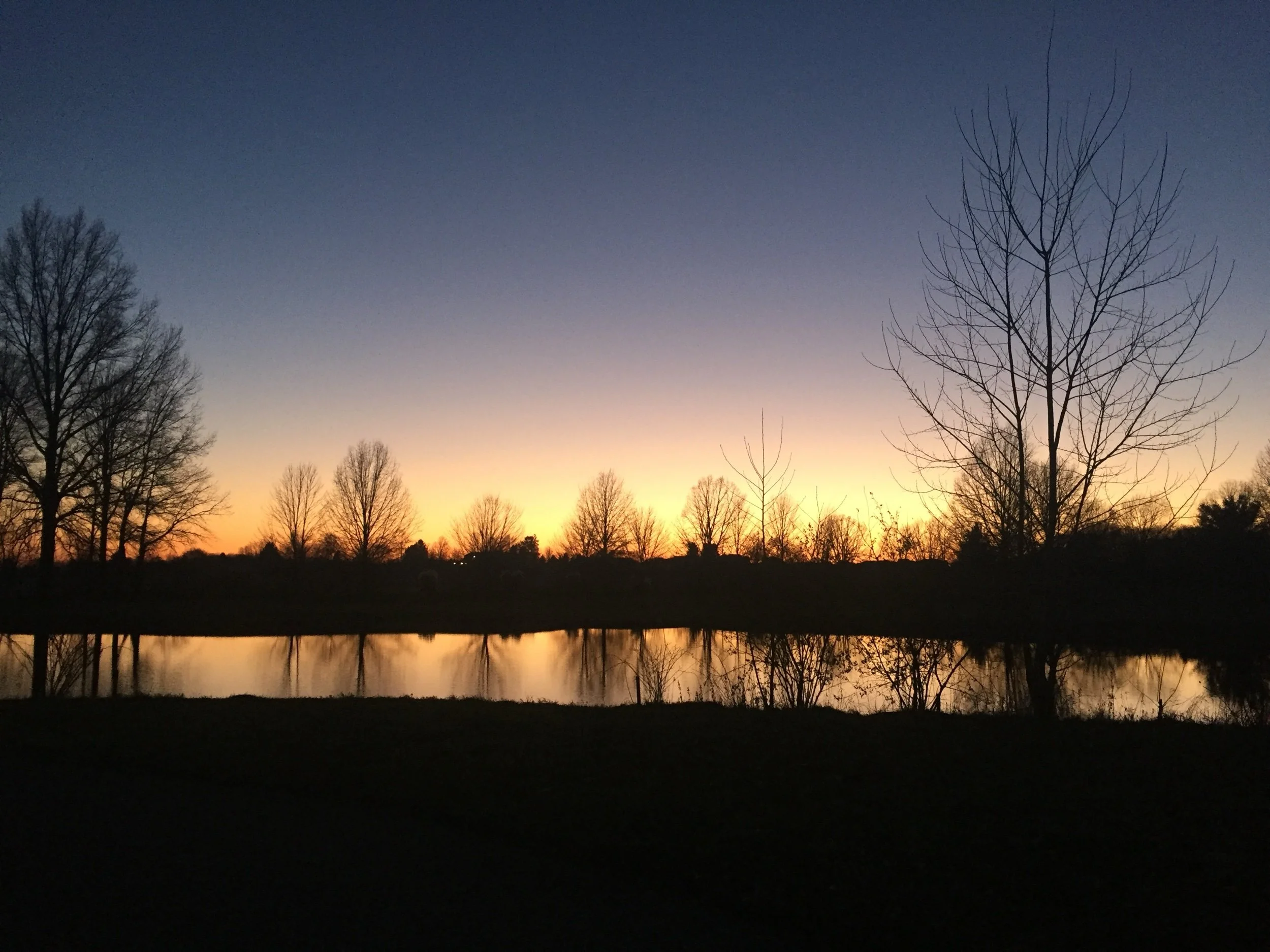 A Gratitude Journal Shared with Others