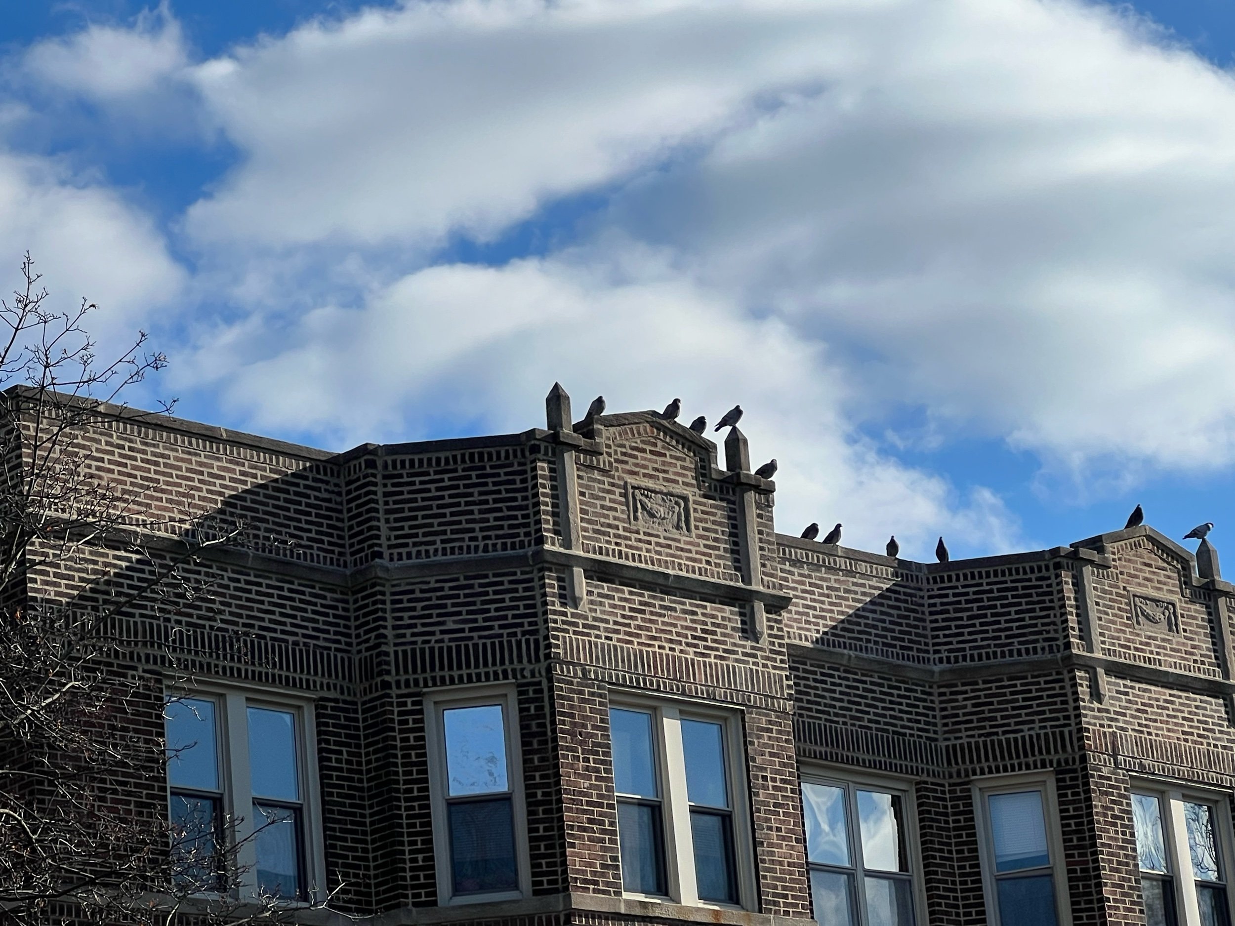 Gratitude Journal no. 3