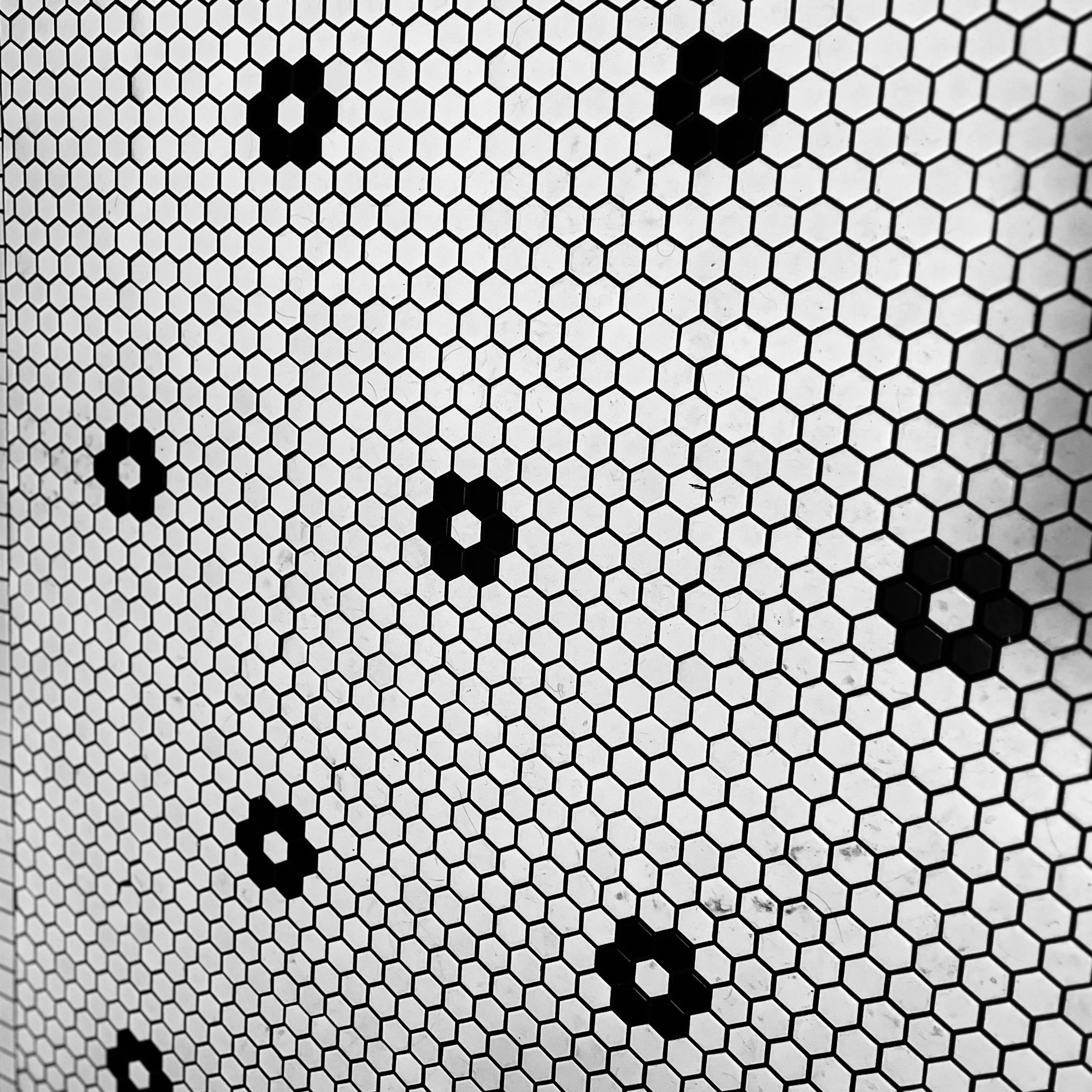 Gratitude Journal no. 5