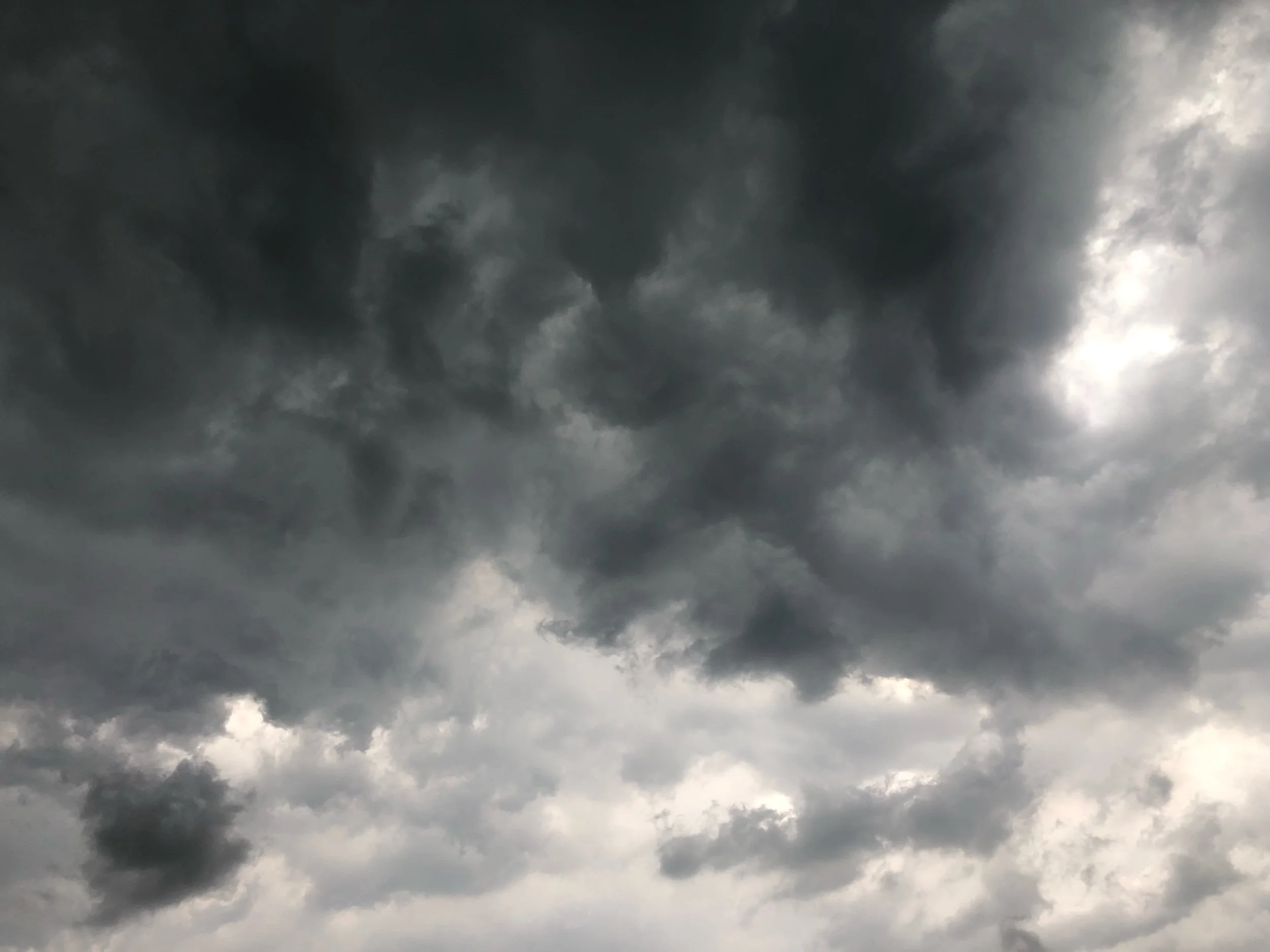 Gratitude Journal no. 9