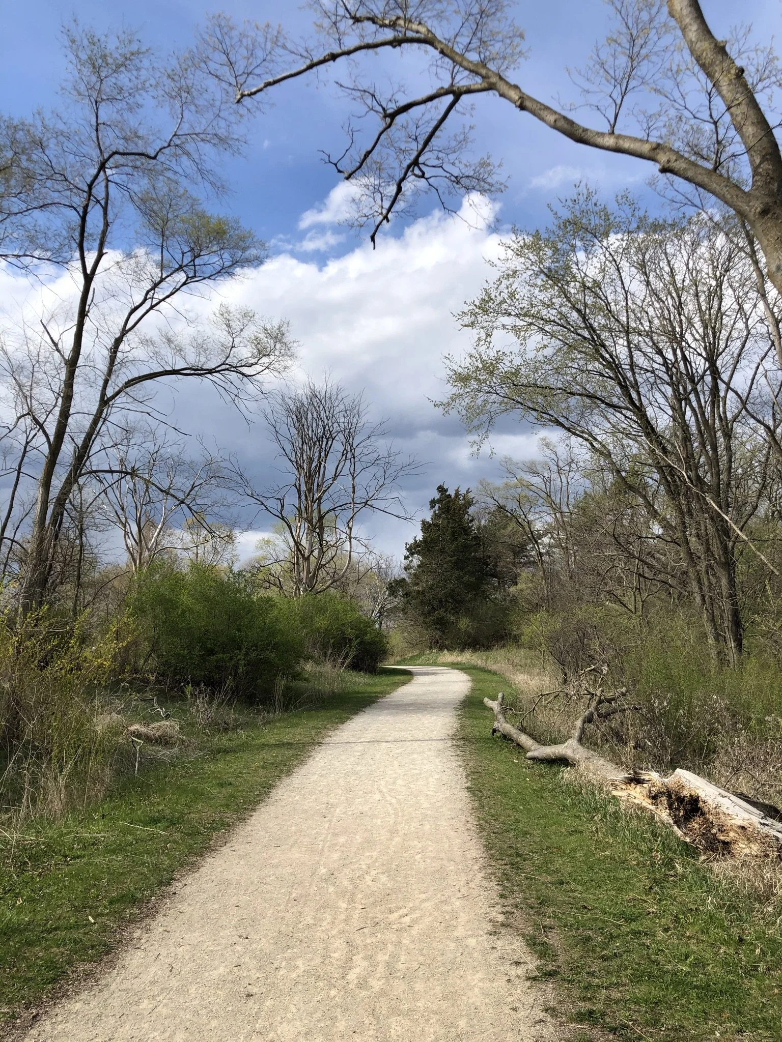 Gratitude Journal no. 14