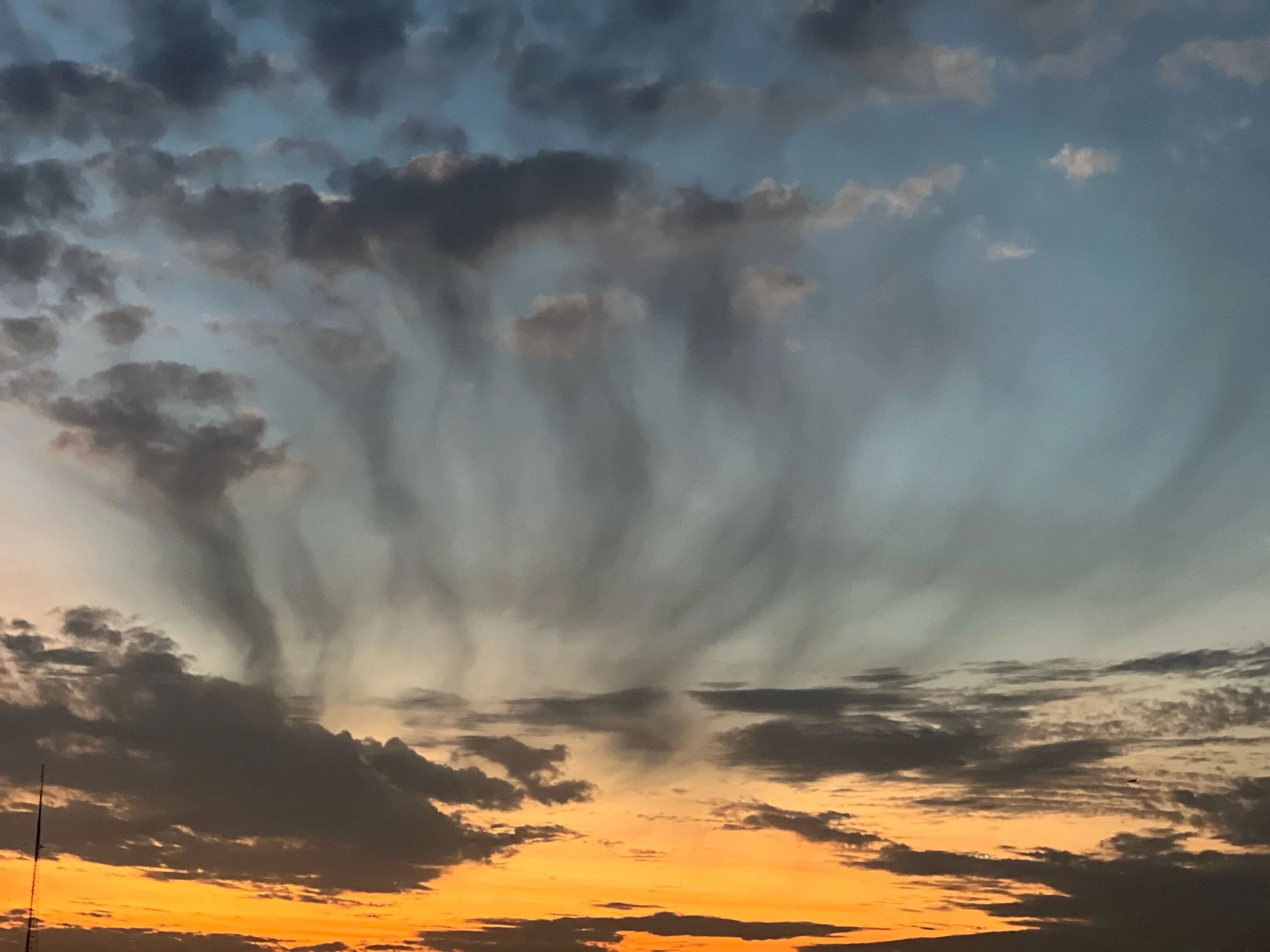 Gratitude Journal no. 27