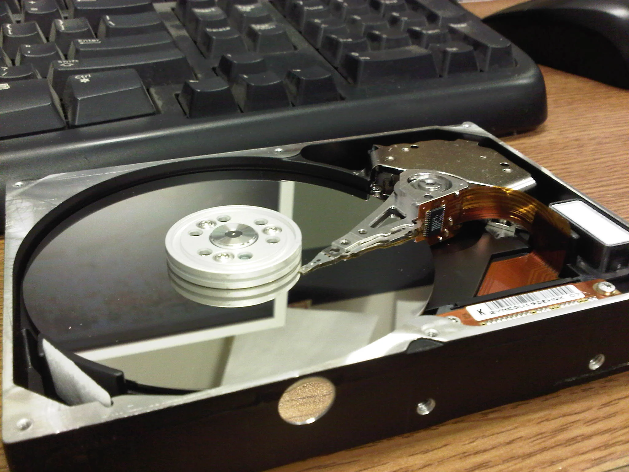 IMG-20110421-00012.jpg