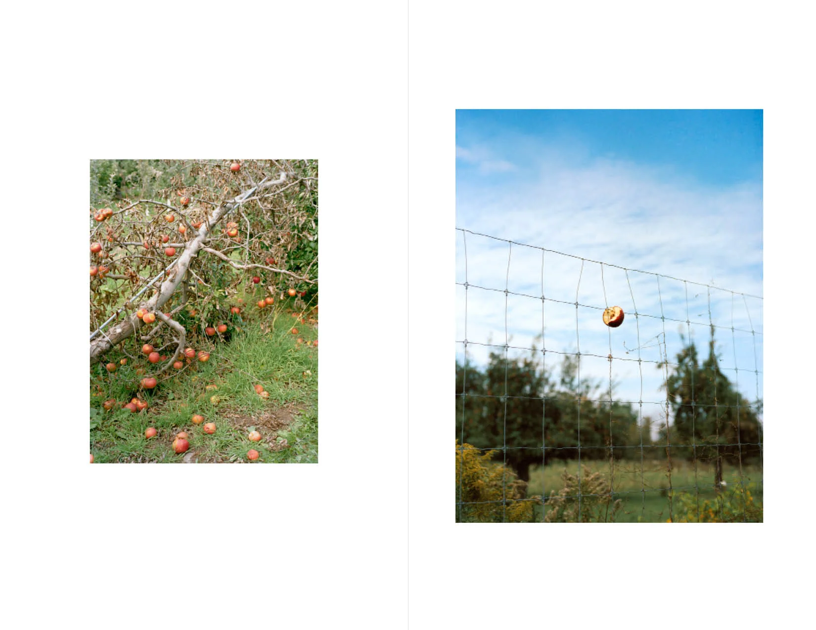 betweenus_web11.jpg