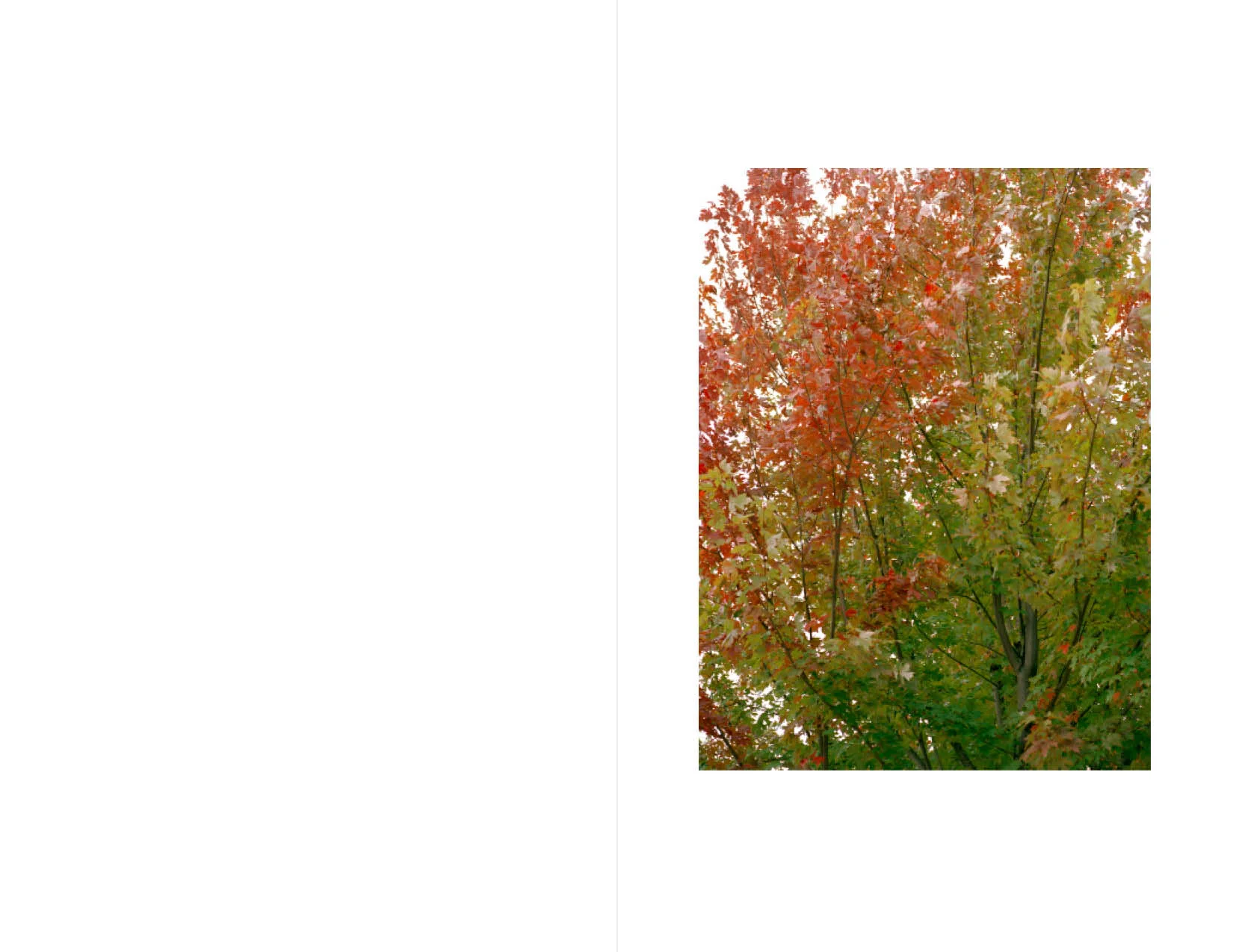 betweenus_web12.jpg