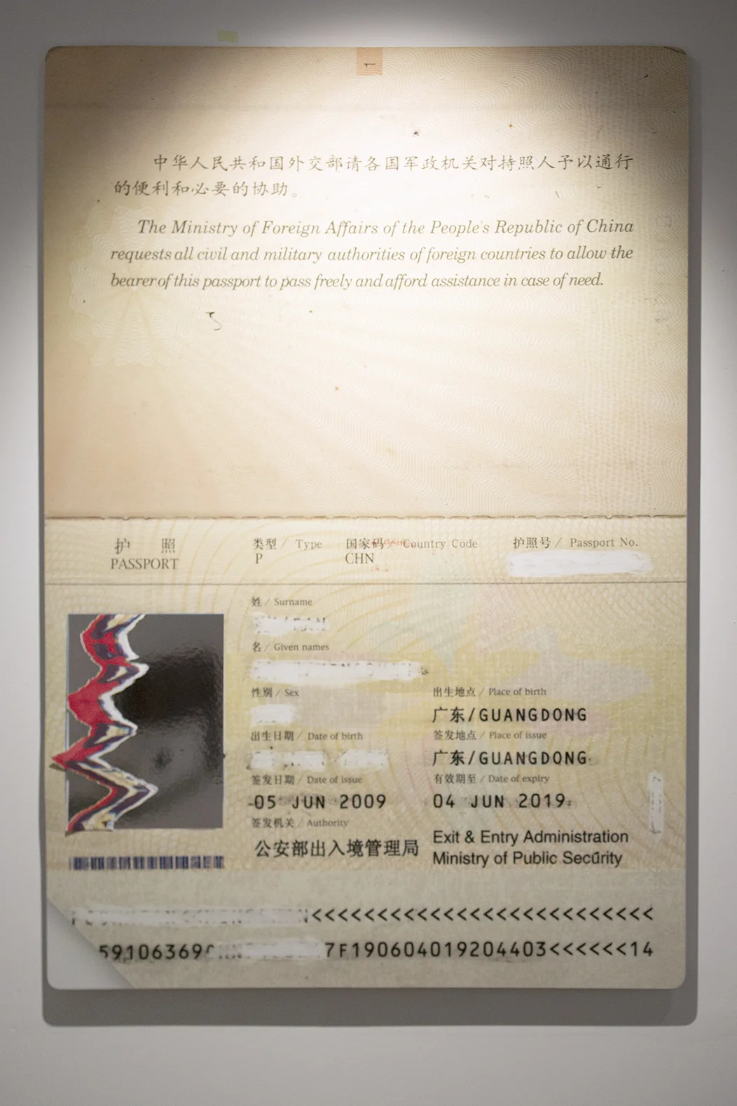 _37A2782 (1) copy.jpg