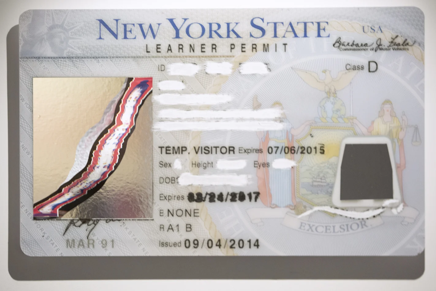 _37A2786 (1) copy.jpg