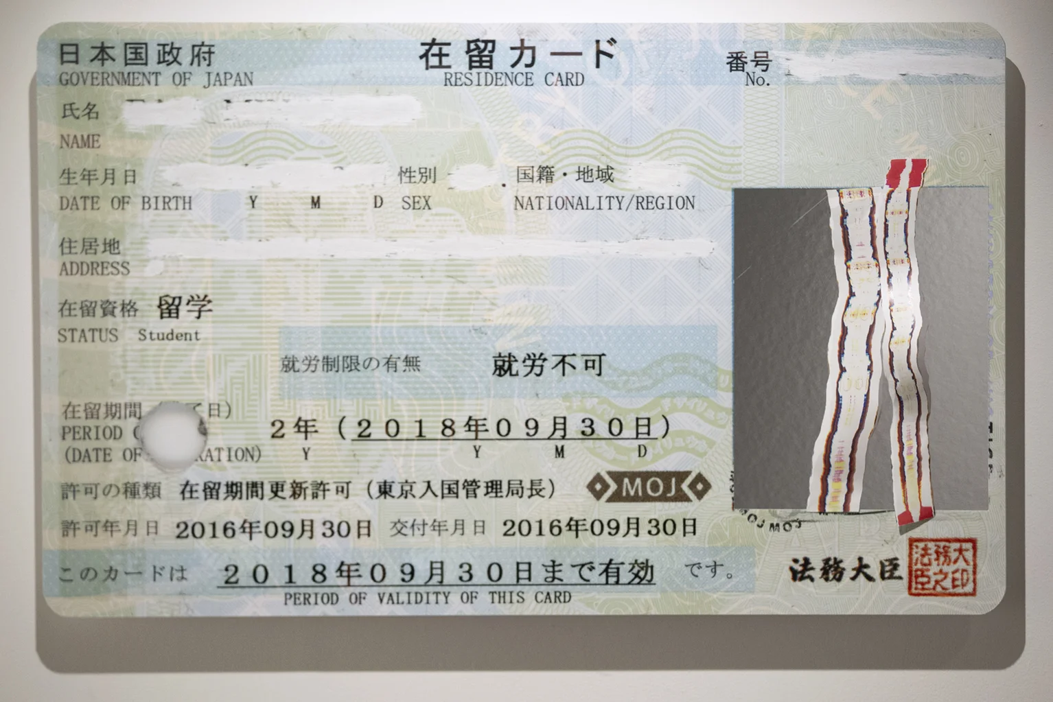 _37A2787 (2) copy.jpg