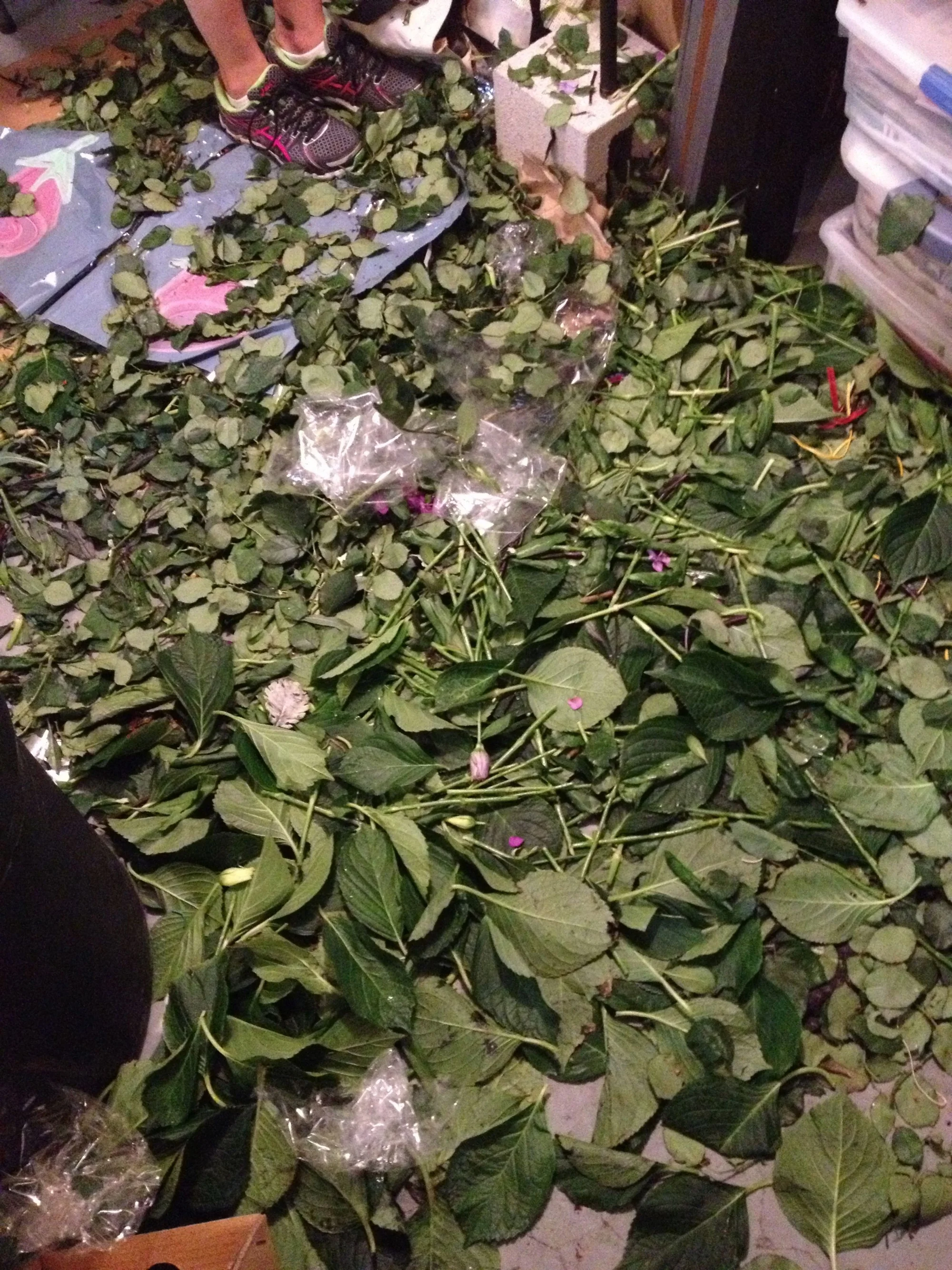 Processing flowers is a dirty job. All the leaves and thorns have to be stripped and the ends of the stems chopped. This left us in a sea of green! 