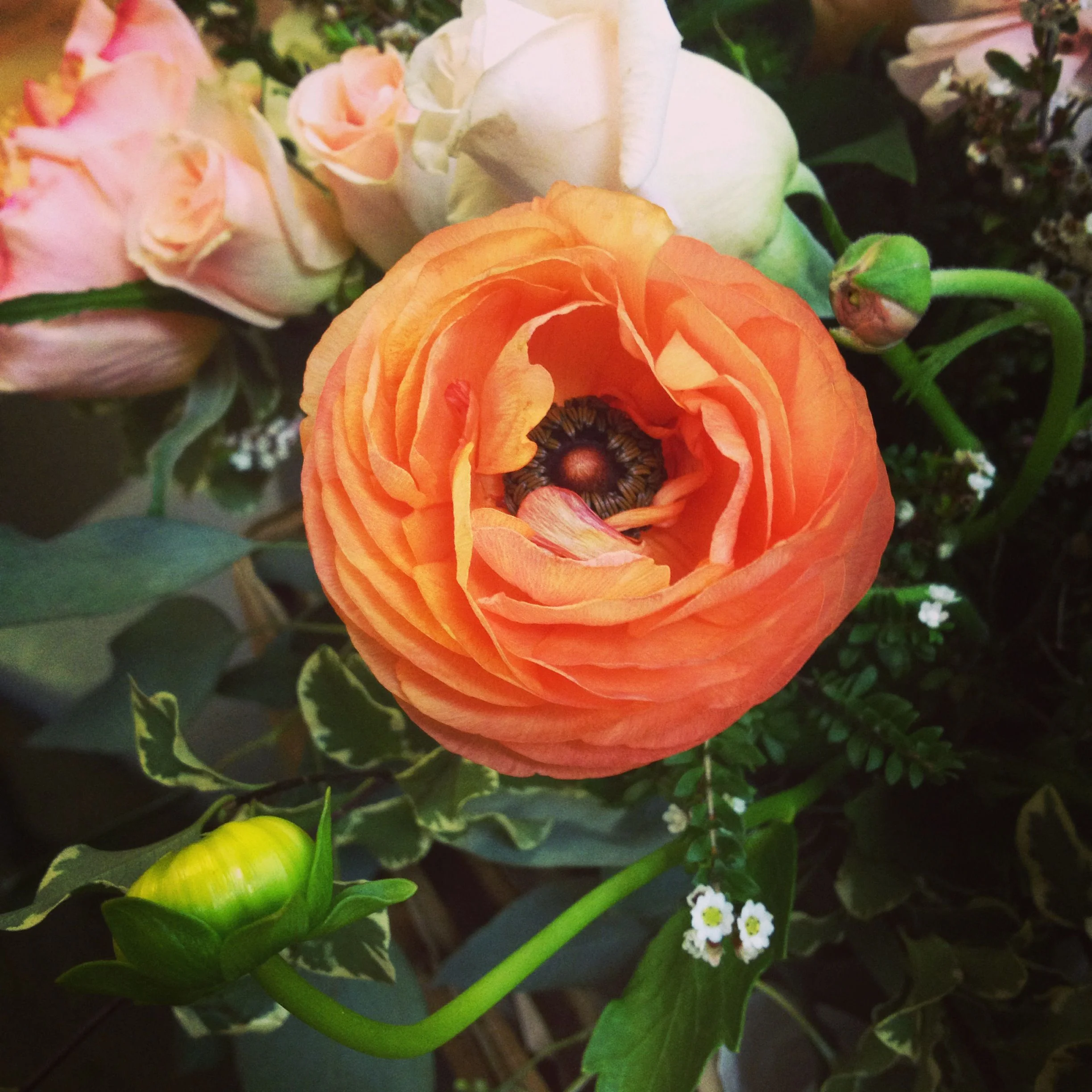 favflower.jpg