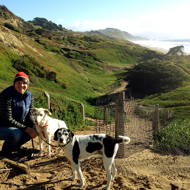 Why We Rescue