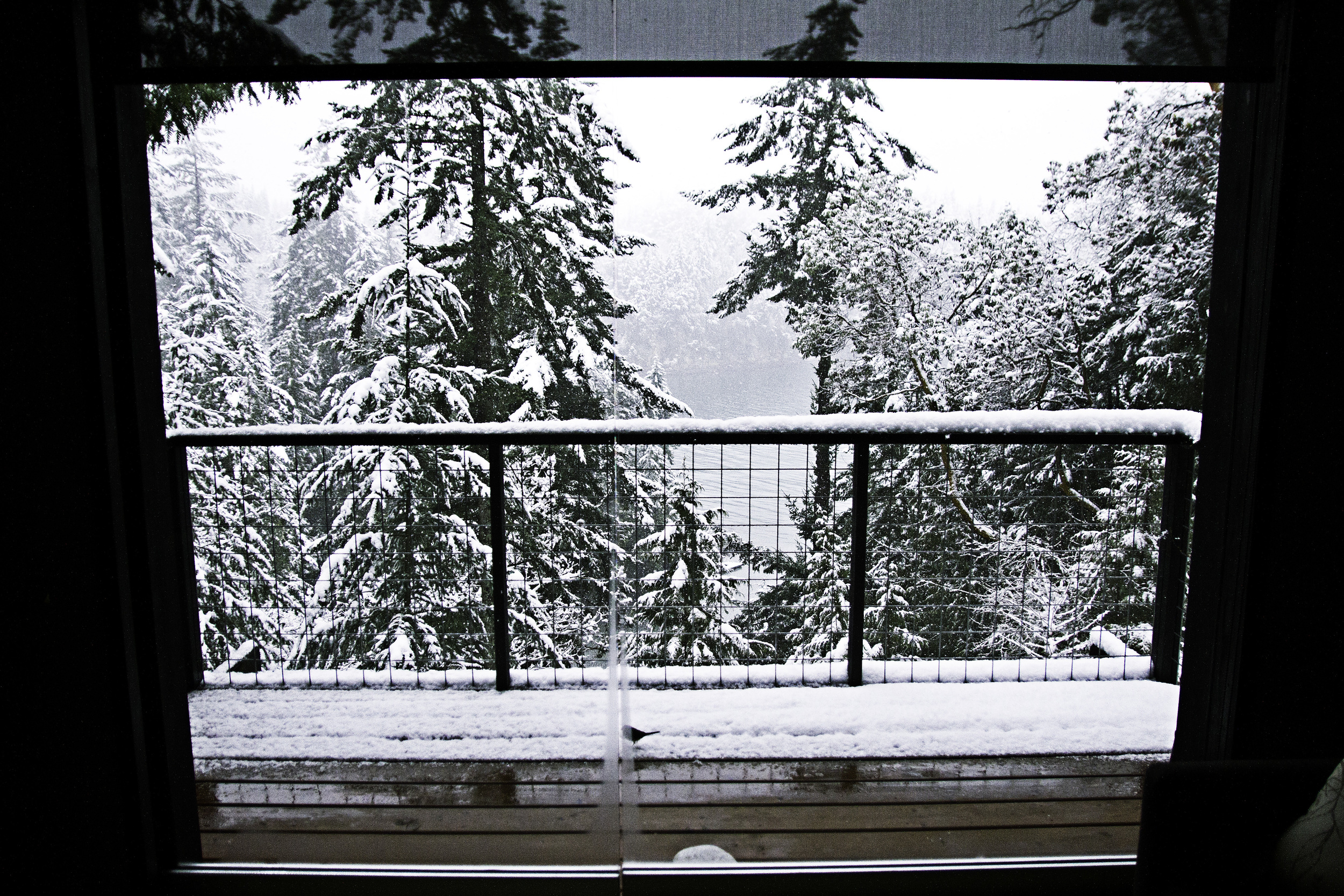 The view from our room! 