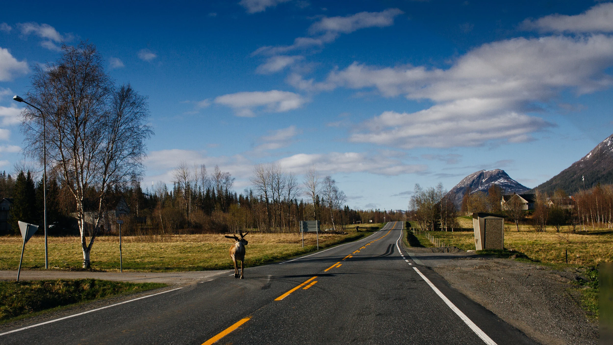 201705_Road-58.jpg