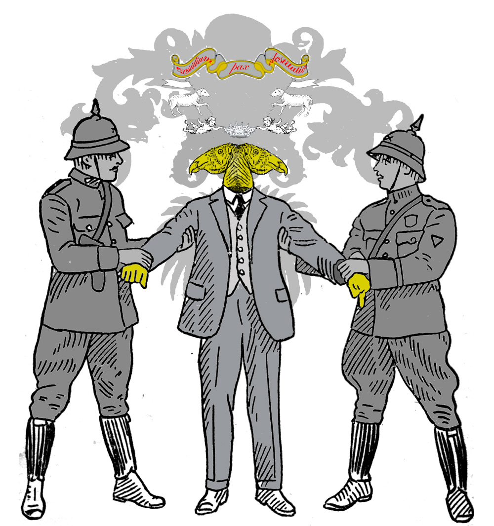 finalPELEA7.jpg