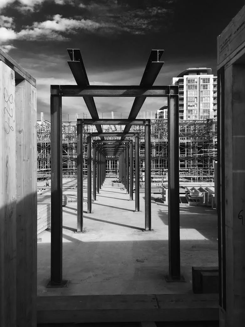 five88_trellis.jpeg