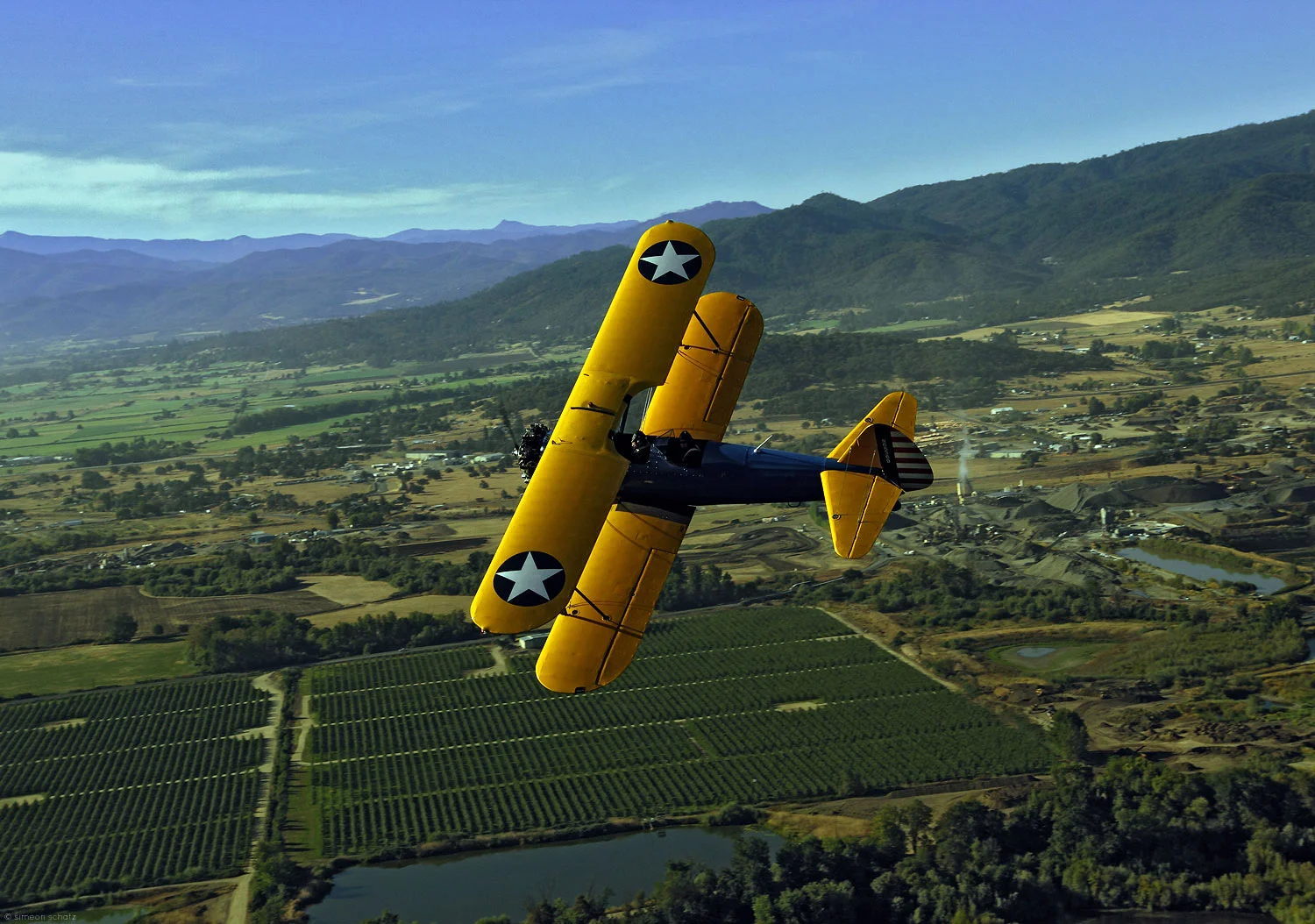 wingz.jpg