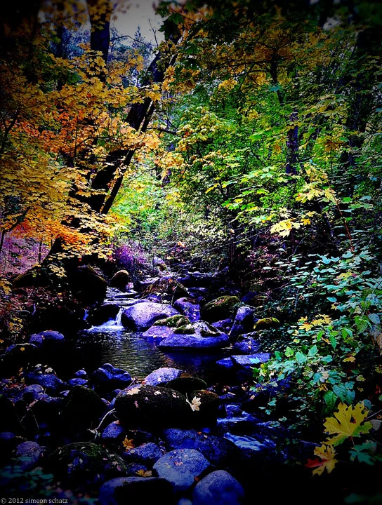 iphone_lithiapark5.jpg