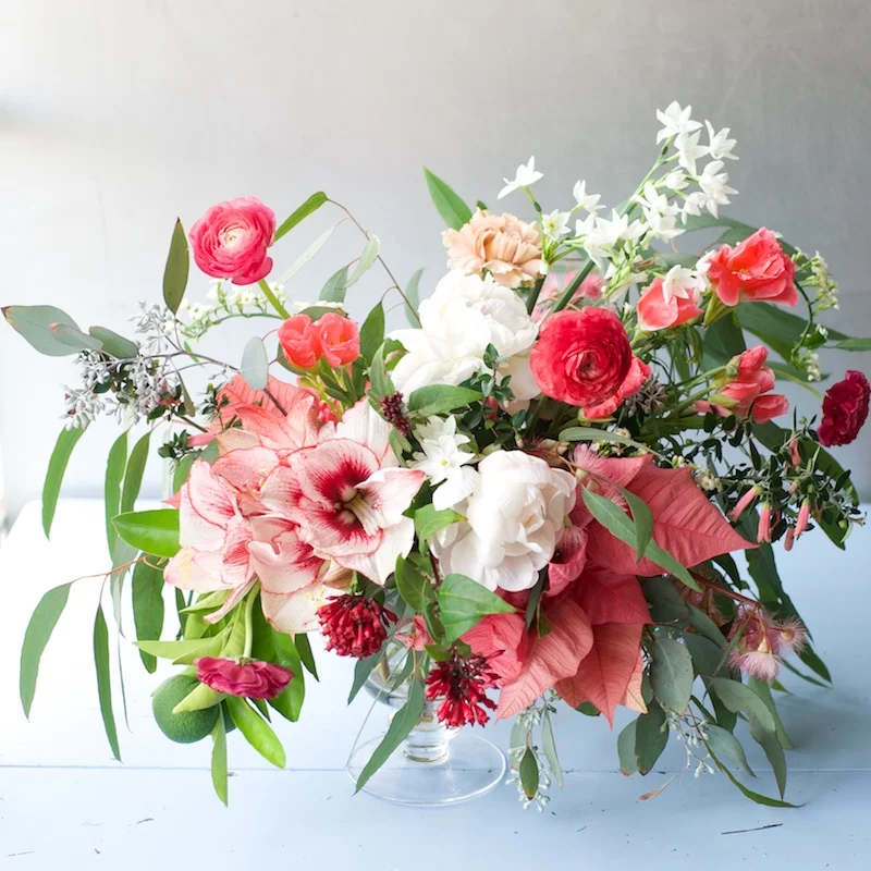 The Delightful Poinsettia / Kiana Underwood / tulipina.com | Photography: Nathan Underwood / nruphoto.com