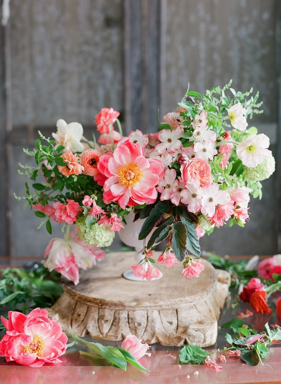 2016_Tulipina_RVA_113.jpg