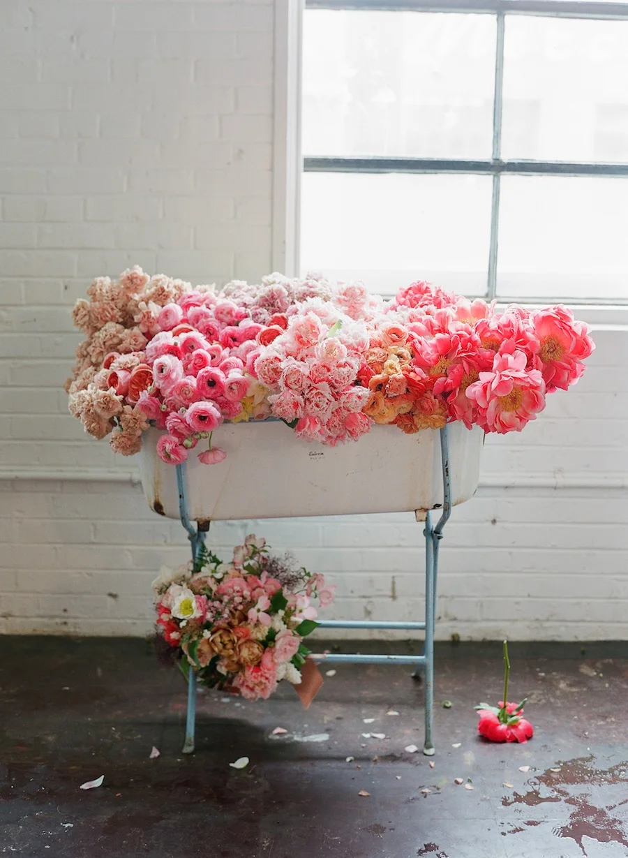 Kiana Underwood / tulipina.com | Photography: Corbin Gurkin / corbingurkin.com