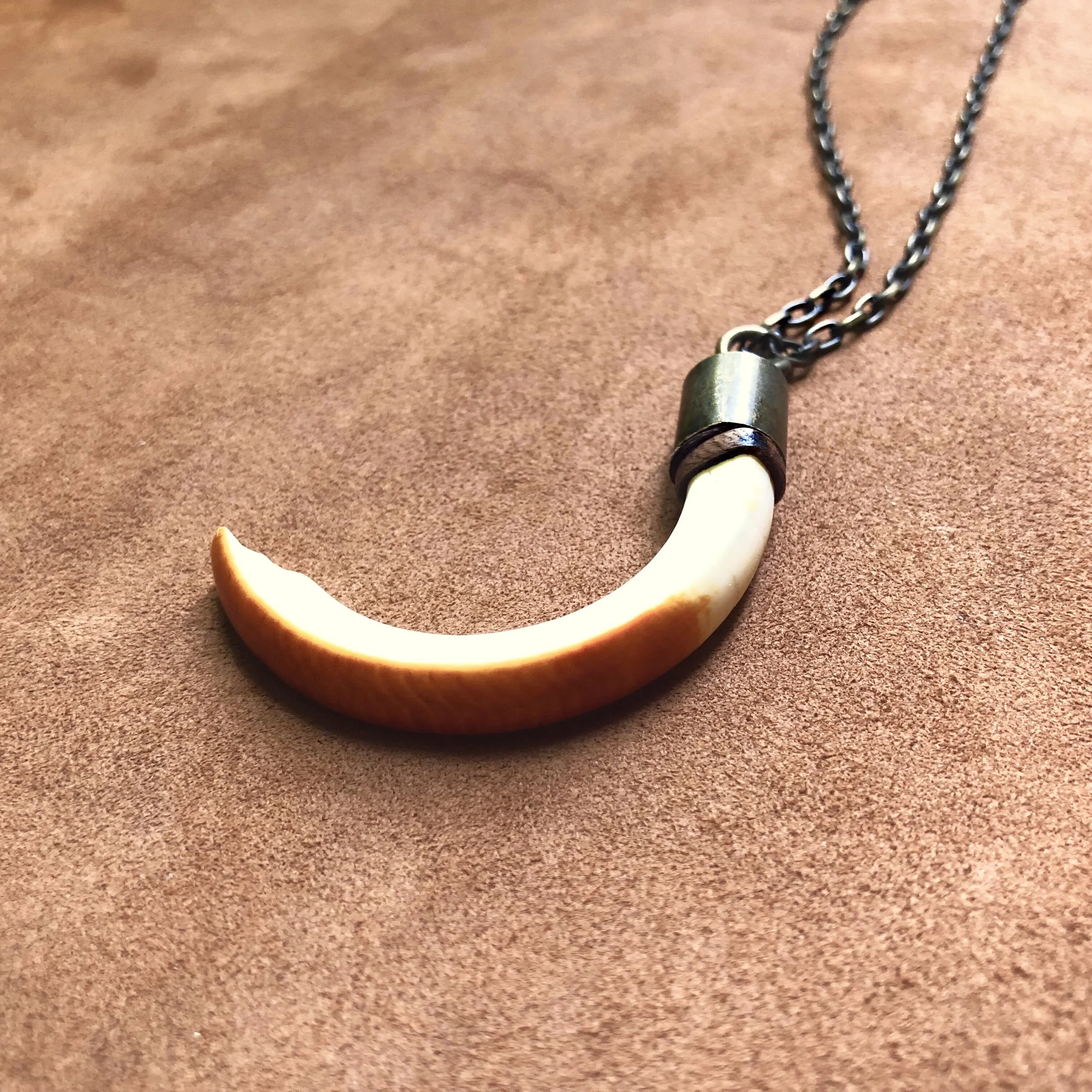 Beaver Tooth Necklace Astali Jewelry