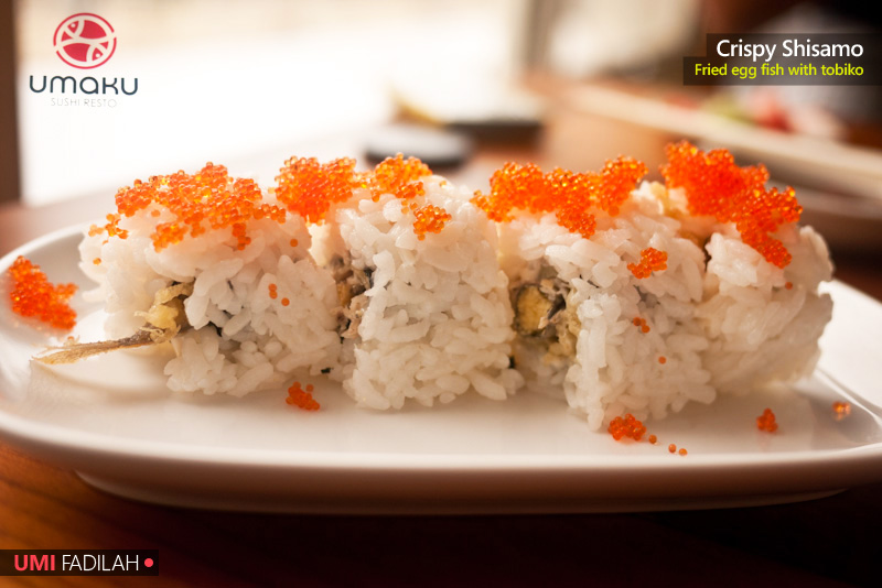 Easily New Favorite Sushi Restaurant: UMAKU!