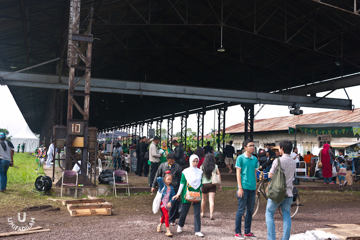 P1150125.jpg