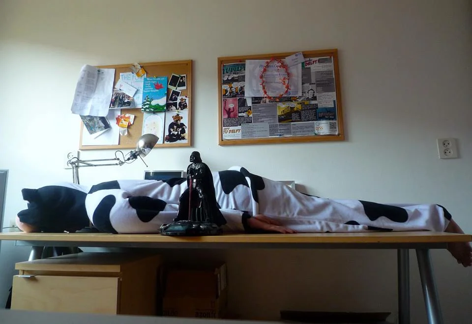 After planking with Darth Vader costume, he managed to plank with this cow suit as well. Bravo, Kaisar.
