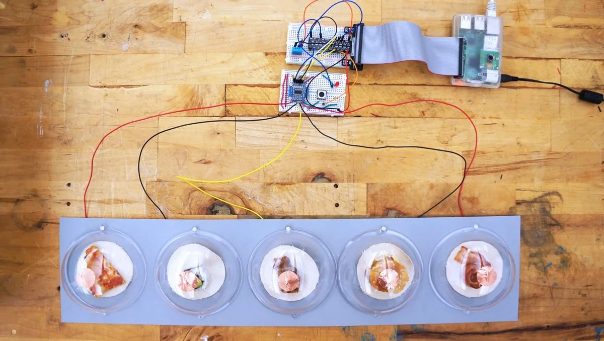 Project CRAVE: A Food Installation