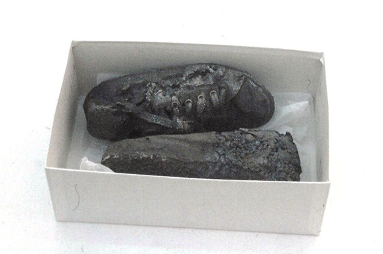 gl_plimsoll4.jpg