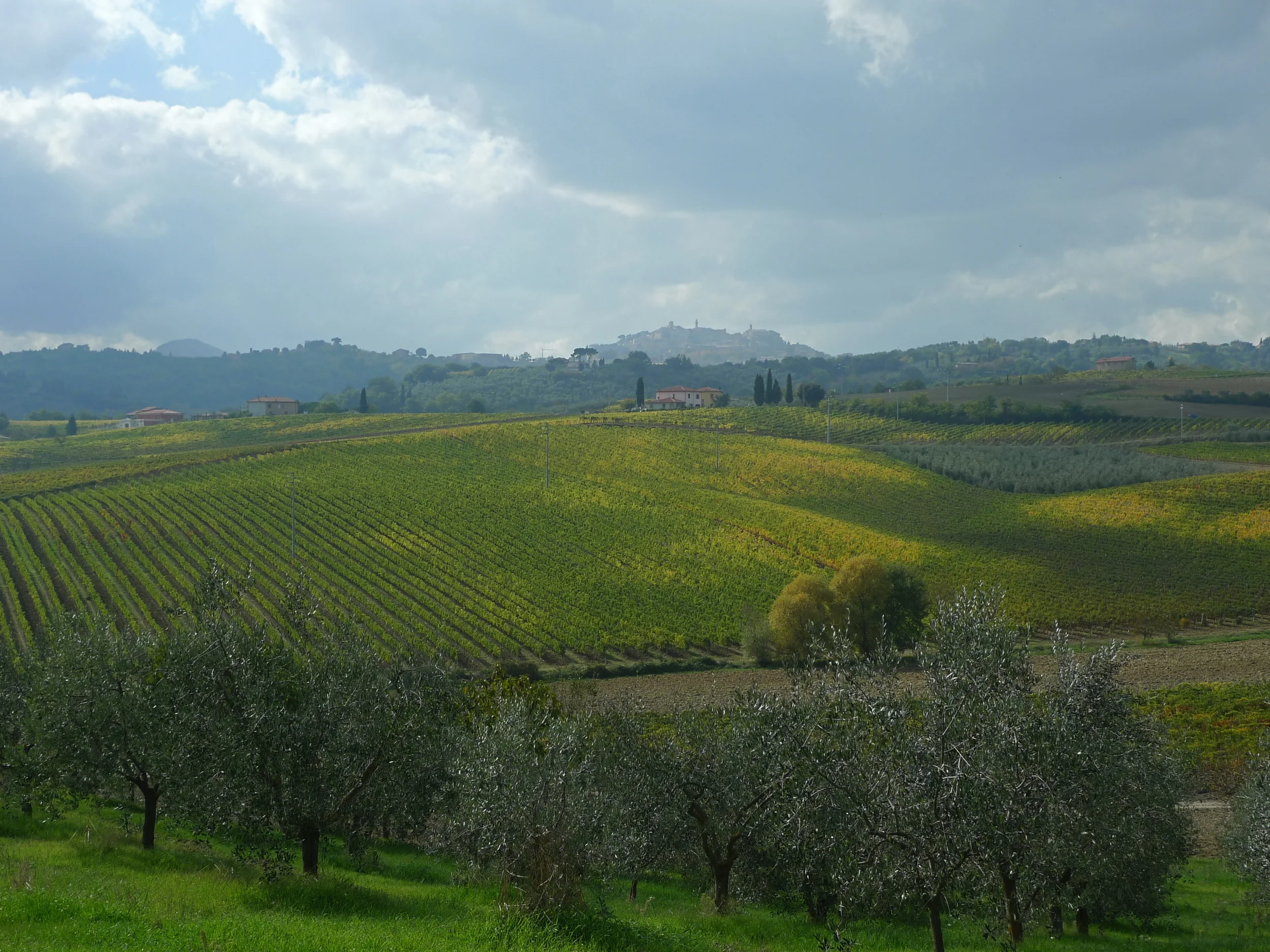 MONTEPULCIANO_28.JPG