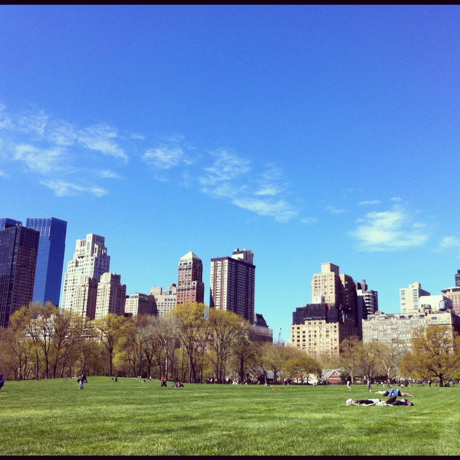 Sheep Meadow Central Park