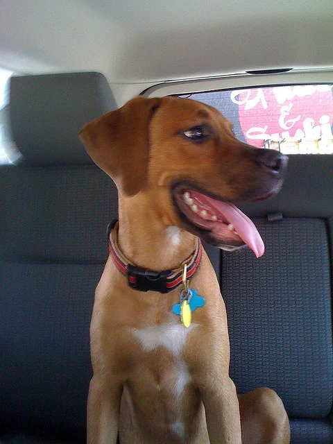  ​Truman on his way to  "Space Camp"  